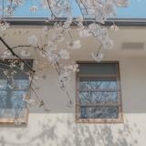 静静
