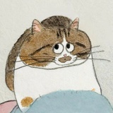 调了个皮
