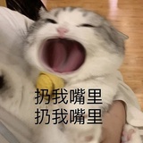 怕啃吃啃吃