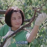 唔西·迪西