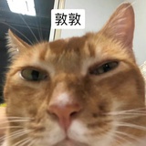 嚼舌根根根子