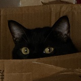 池海秀（打工版