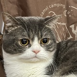 福福福福福福