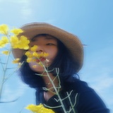 萌斐