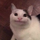 咔咔其