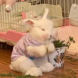 更远的海