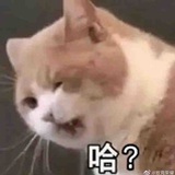 鼓楼区第二嫦娥