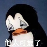 大雨胖坨