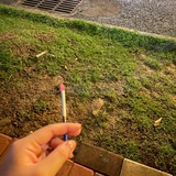 阿懒