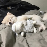 yiheng