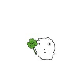 碱水蝴蝶结