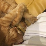 姜怡轩