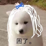 比❤️心