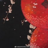 只爱plmm
