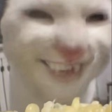 骂我反弹