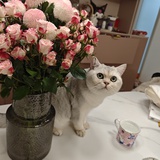 霾霾