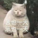 江湖菜子
