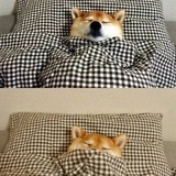 东磁东磁