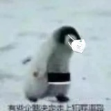 豆友194691828