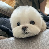 小火车嘟嘟嘟