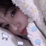 数一只眠羊