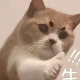 Mogu
