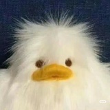 爱吃螺蛳粉