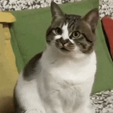 壹贰叁