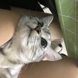 小姐姐
