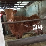 就随便看看