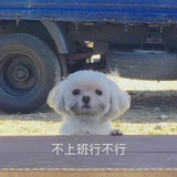 话糙理不糙