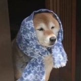 不想打工了