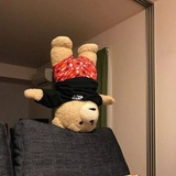 陌黎