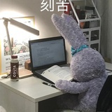 菠阿卜儿
