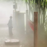 梅梅梅梅梅花璐