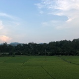 昨夜西风