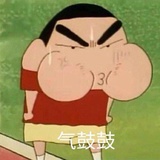 迟日江山丽