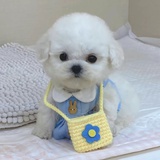 芥川海