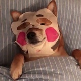 一直