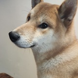 晴朗的天空