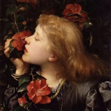 江月流年望长庚