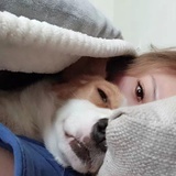 迷人