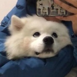 。。