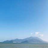小马的菠萝