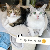 壮哉我土肥圆
