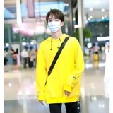 小洛豪