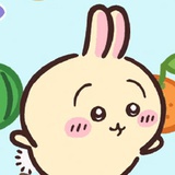 加斯特喵