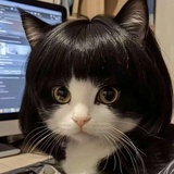 潮信来