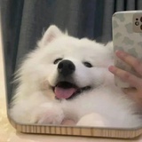 陶阳镇小仙