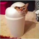 波晕侠